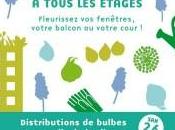 bulbes tous étages distribution gratuite ,place l’HOTEL VILLE SAMEDI NOVEMBRE