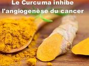 Curcuma inhibe l’angiogenèse cancer