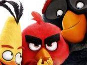 Angry Birds Film (Blu-Ray DVD)