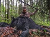 chasseur ours avec lance, vidéo choque Canada