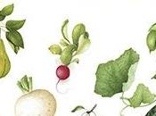 calendrier 2017 pour connaître fruits légumes saison