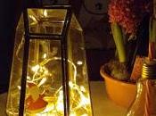 1387. Noël brille aussi chez moi, était QUATRE fois