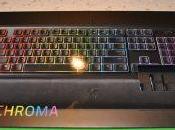 Test Ornata Chroma Razer