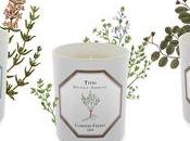 Carrière Frères soliflores