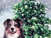 Chronique Noël poil" Raev