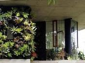 DECO Planchonella Dream House!