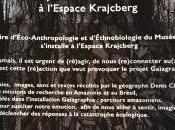 Espace KRAJCBERG exposition nouvelle partir Février 2017 Parcours Amazoniens