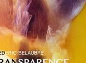 Galerie Image exposition Frederic BELAUBRE Transparence Janvier Février 2017