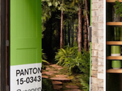 DECO maison super green signée Pantone Airbnb