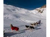 Orcières: activités hors ski… avec animaux