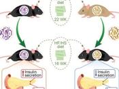 MICROBIOME INTESTINAL Façonné gènes, fait risque métabolique Cell Reports