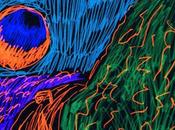 nouveau voyage dans l’espace Talaboman définitivement vous faire oublier tronche Thomas Pesquet