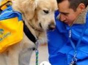 Carrefour aide l’association Handi’Chiens éduquer chiens d’assistance pour enfants handicapés