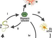 PARKINSON L'antibiotique capable stopper neurodégénérescence Scientific Reports