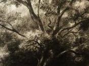 Galerie Francis BARLIER exposition Stanislas BOUVIER Mars Avril 2017