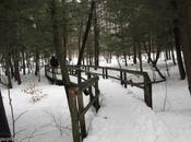 Pays Etranger canada quelques photos