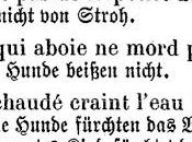 L'allemand pour (moins) nuls: chat échaudé craint l'eau froide deux autres proverbes