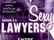 Sewy lawyers #3.5 Entre parenthèse Emma Chase