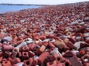 plage briques Canada