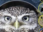 [Podcast #46] Bien choisir jumelles avec Dauvergne Blanchard