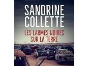 Sandrine Collette larmes noires terre