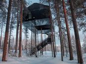 chambre d’hôtel perchée dans arbre architectes Snøhetta