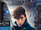 [Test Blu-ray Animaux Fantastiques