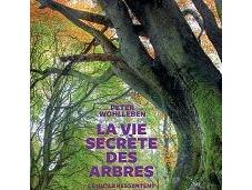 secrète arbres. livre surprend enchante