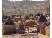 Cameroun pour meilleure gouvernance foncière