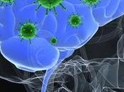 MICROBIOTE CERVEAU aliments producteurs GABA calment neurones Journal Psychopharmacology