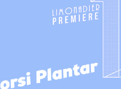 PREMIERE Dorsi Plantar