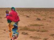 HCR: Quelque millions d’habitants Sahel menacés faim