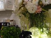 Hippo fait plus mystère nouvelle carte