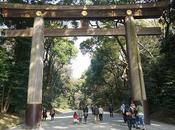 Balade nippone Meiji-jingu