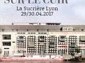 Mouche Cuir, coup fouet dans norme