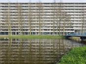 PRIX MIES 2017 Logements Navez MSA/V+