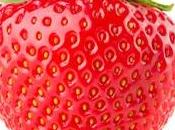 CANCER SEIN fraises contre métastase Scientific Reports