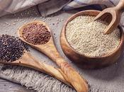 quinoa Priméal Bolivie, grain protégé