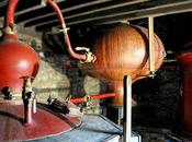 Dupont Calvados référence