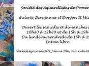 salon aquarellistes Provence