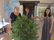 Hebdoscope sous baguette Valérie Cardi