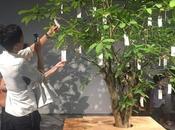 Yoko l’honneur Hanoi