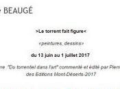 Galerie Capitale exposition Guillaume BEAUGE torrent fait figure Juin Juillet 2017