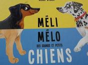 Méli mélo grands petits chiens