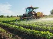 pesticides dans nouveau règlement européen toujours discussion