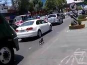 chien s'échappe dans grand Mexico