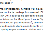 I.M. Simone Veil, icône historique contre l’extrême-droite