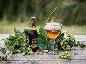 Nouveau Leffe Royale Ella, nouvelle bière d’exception Édition Limitée