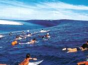 meilleurs spots surf