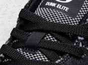 Medicom Nike Dunk Elite